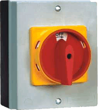 B31