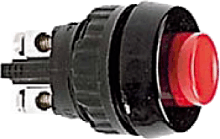 Rafi 15mm pushbutton switch
